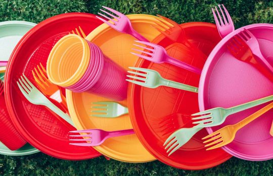 Disposable Dinnerware2