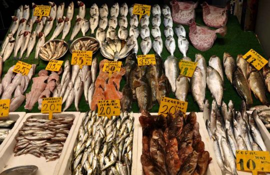 Smoked Fish Deli2