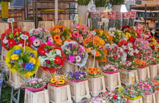 חנות פרחים2