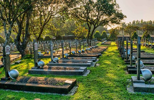 ייצור, התקנה ושיווק מצבות2